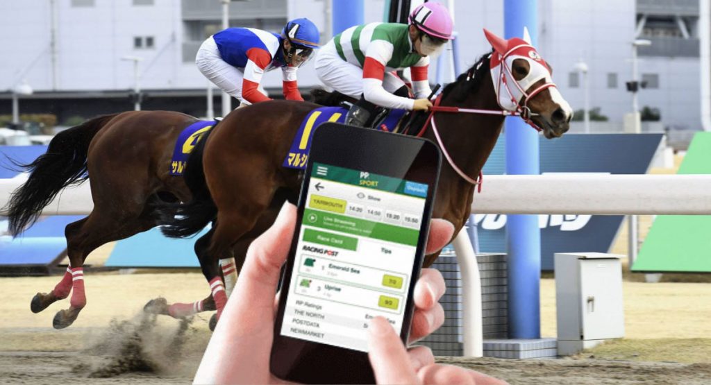 Horse racing is the third most popular sport